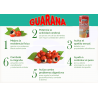 Binergy Biopronat con Guaraná